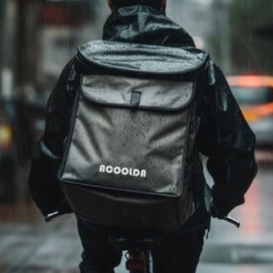 Dilivery Bag